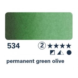 1/2 NAP vert permanent olive S2