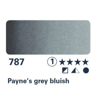 1/2 NAP gris de Payne bleuâtre S1