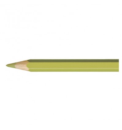 Artist Supracolor crayon vert kaki-FSC