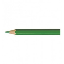 Artist Supracolor crayon vert prairie-FS