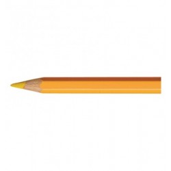 Artist Pablo crayon jaune d′or
