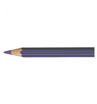 Artist Pablo crayon violet