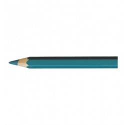 Artist Pablo crayon bleu verdatre