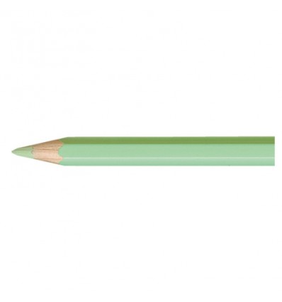 Artist Pablo crayon vert clair