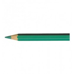 Artist Pablo crayon vert empire