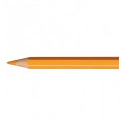 Artist Pablo crayon orange solide
