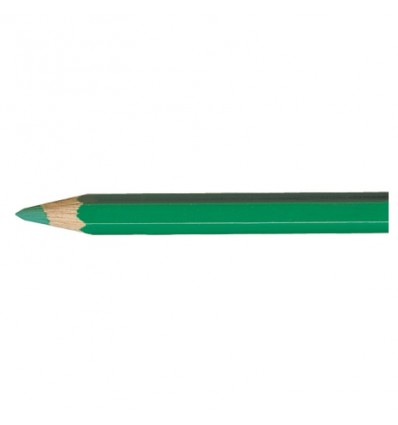 Artist Pablo crayon vert paon