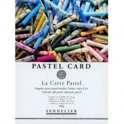 PAstel Card 39,5x59,5cm 360g 6 tinten