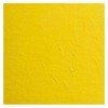 Cadmium geel citroen 35ml