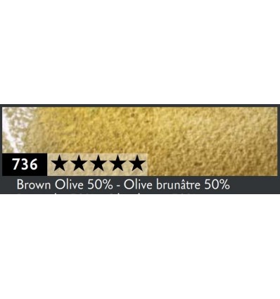 Artist Museum crayon olive brunâtre 50%