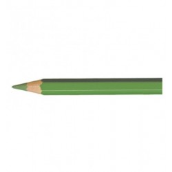 Artist Supracolor crayon vert mousse-FSC