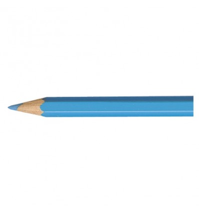 Artist Pablo crayon bleu pastel