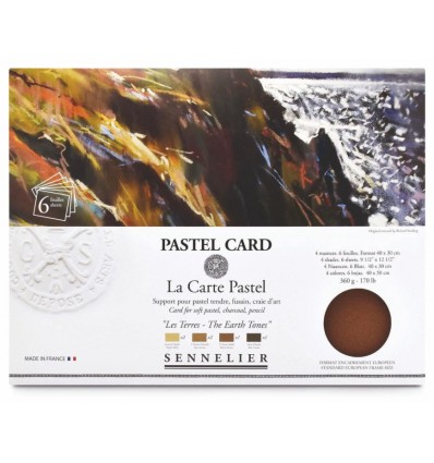 pochette 6 fl pastel card 40x30 cm